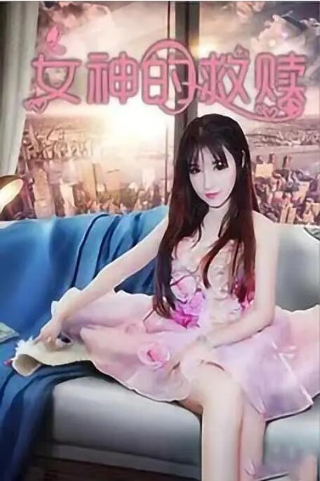 愈合伴侣